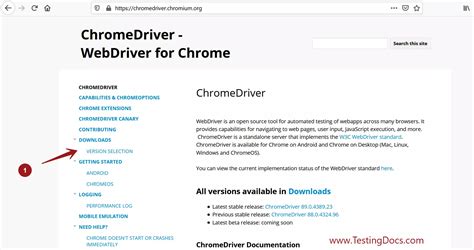 By default, Selenium 4 is compatible with <b>Chrome</b> v75 and greater. . Chrome driver download